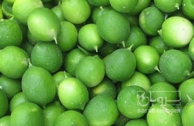 فروش لیمو ترش