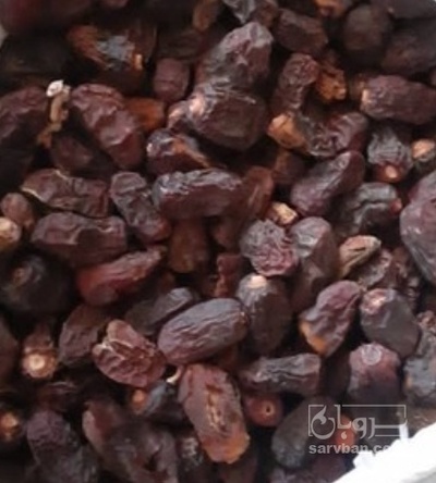 فروش خرما ضایعاتی