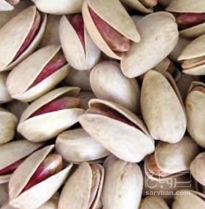 فروش پسته خام سفید