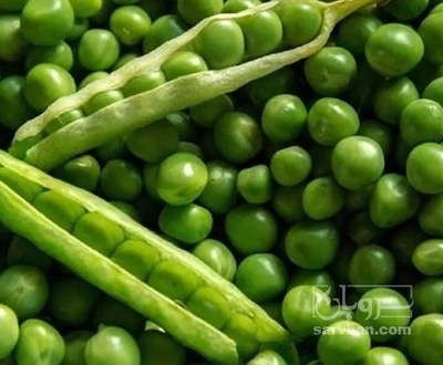 فروش نخود فرنگی