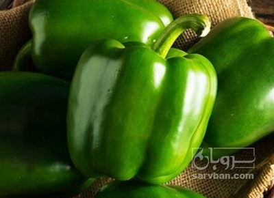 فروش فلفل دلمه ای