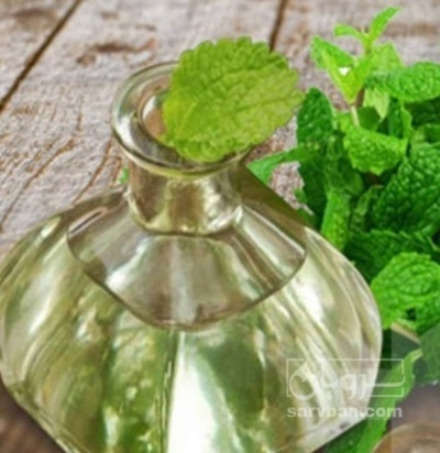 فروش اسانس نعناع