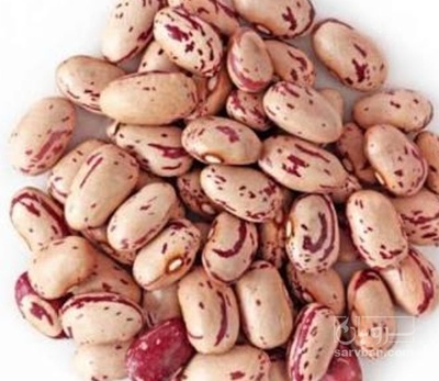 فروش لوبیا چیتی