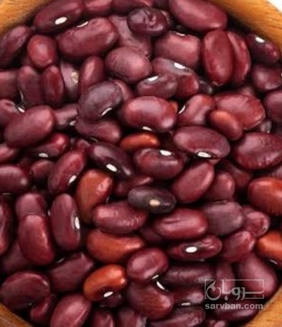 فروش لوبیا قرمز