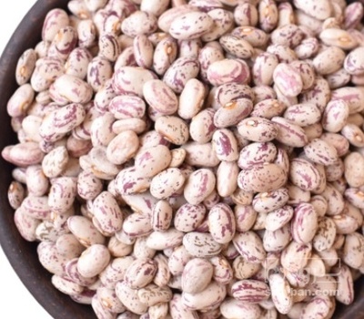 فروش لوبیا چیتی