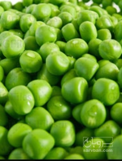 فروش نخود فرنگی