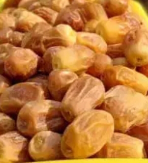 فروش خرما کبکاب