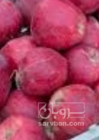 فروش سیب قرمز