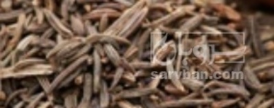 فروش زیره (گیاه‌ دارویی)