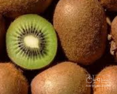 فروش کیوی