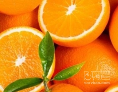 فروش پرتقال
