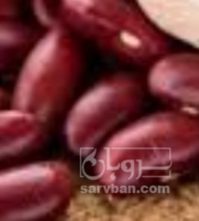فروش لوبیا قرمز