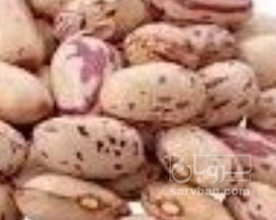 فروش لوبیا چیتی