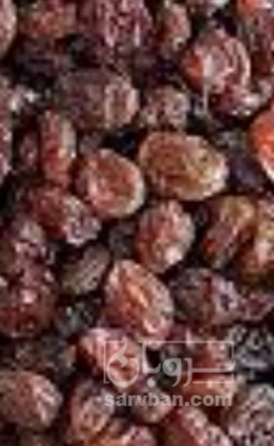 فروش کشمش افتابی