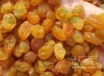 فروش کشمش تیزابی