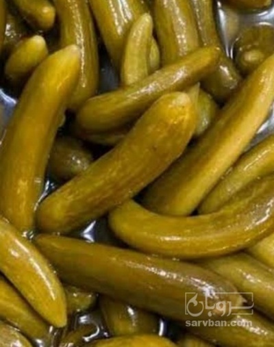 فروش خیار شور
