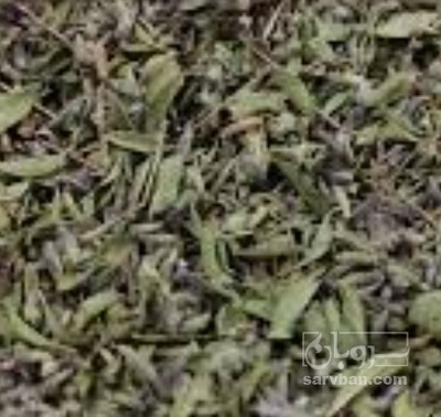 فروش کاکوتی (گیاه‌ دارویی)