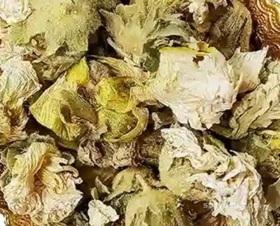 فروش گل ختمی - خطمی (گیاه‌ دارویی)