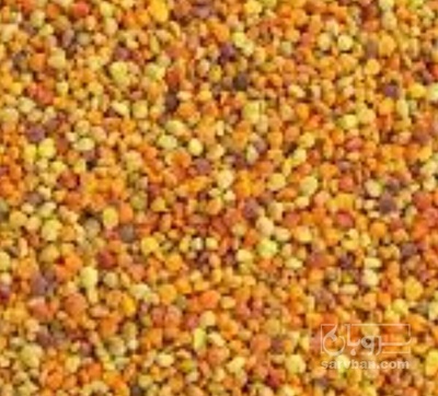 فروش گرده گل