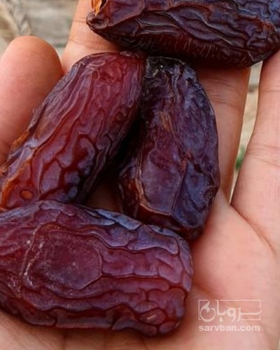 فروش خرما پیارم