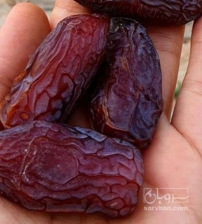 فروش خرما مجول