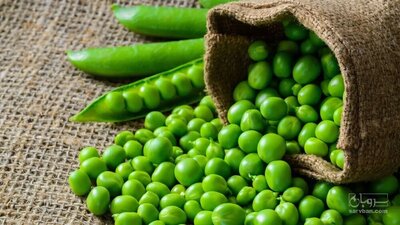 فروش نخود فرنگی