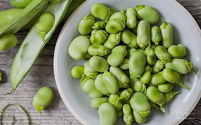 فروش باقلا تازه - باقالی - باقالا