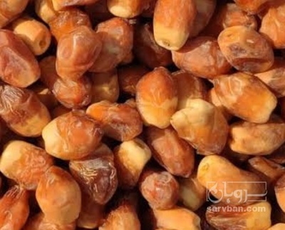 فروش خرما زاهدی