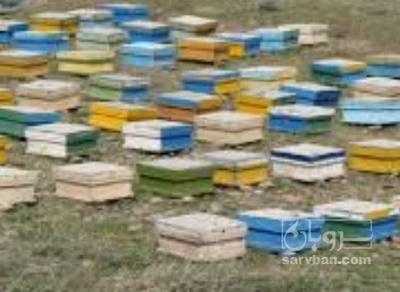 فروش عسل چهل گیاه