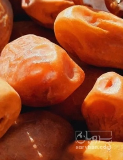 فروش خرما زاهدی
