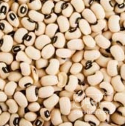 فروش لوبیا چشم بلبلی