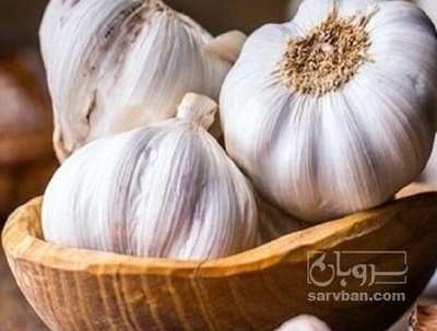 فروش سیر صادراتی