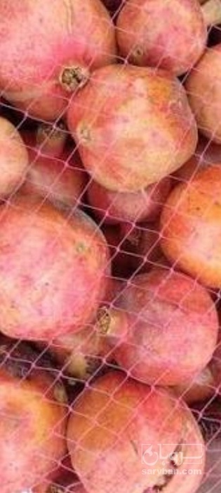 فروش انار توری