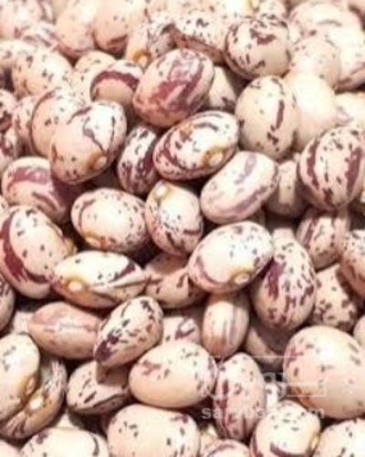 فروش لوبیا چیتی