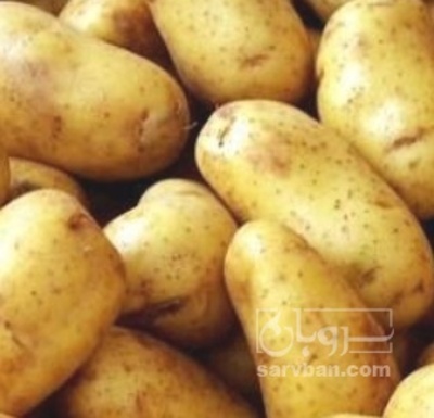 فروش سیب زمینی جلی