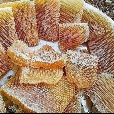 فروش انواع عسل