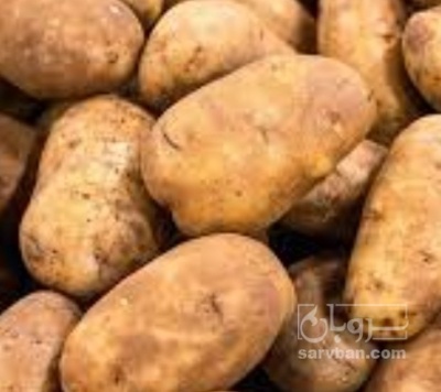فروش سیب زمینی