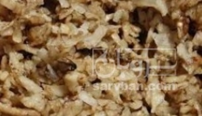 فروش چغندر قند