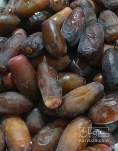 فروش خرما کلوته