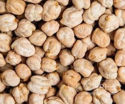 فروش نخود سفید