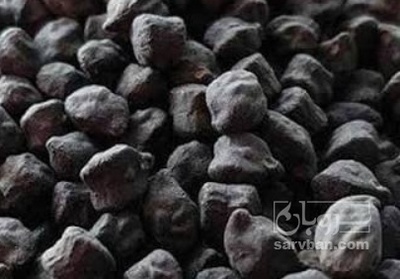 فروش نخود سیاه
