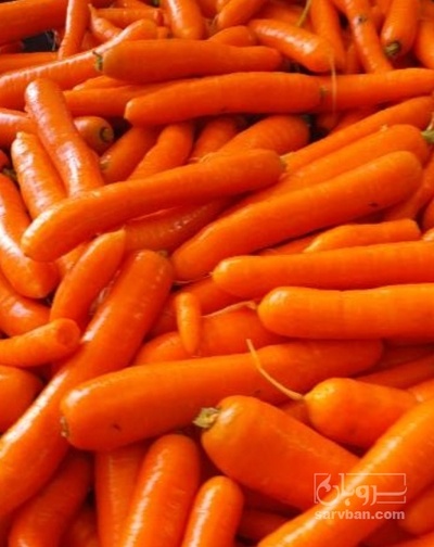 فروش هویج شکسته