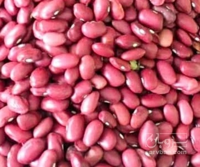 فروش لوبیا قرمز
