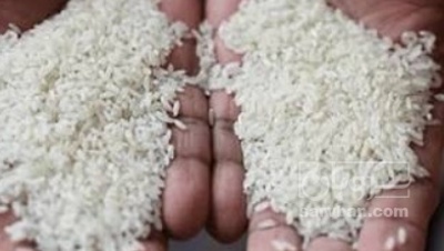 فروش برنج