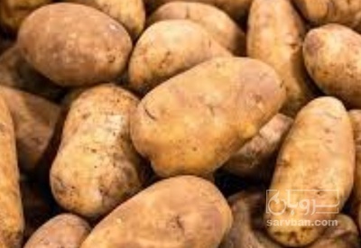 فروش سیب زمینی