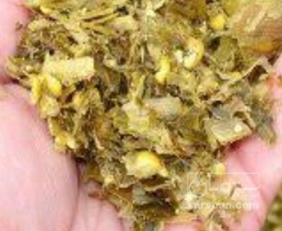 فروش چاپر ذرت - سیلاژ ذرت