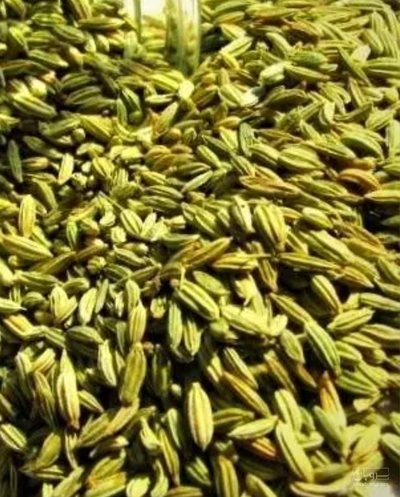 فروش زیره (گیاه‌ دارویی)