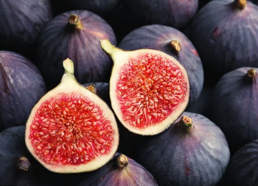 فروش انجیر سیاه