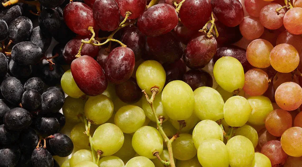 فروش انگور سفید