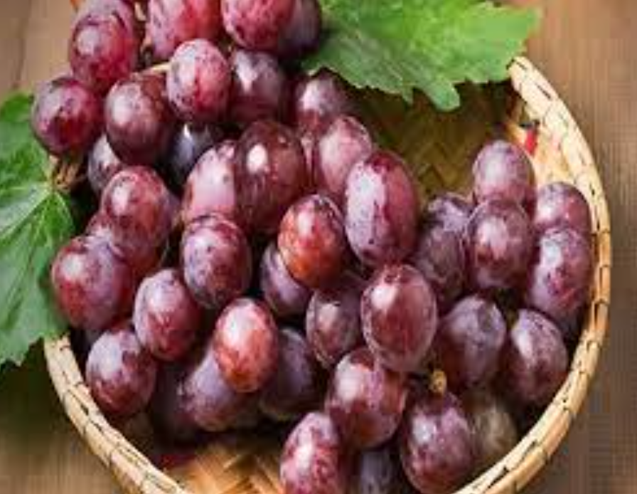 فروش انگور قرمز